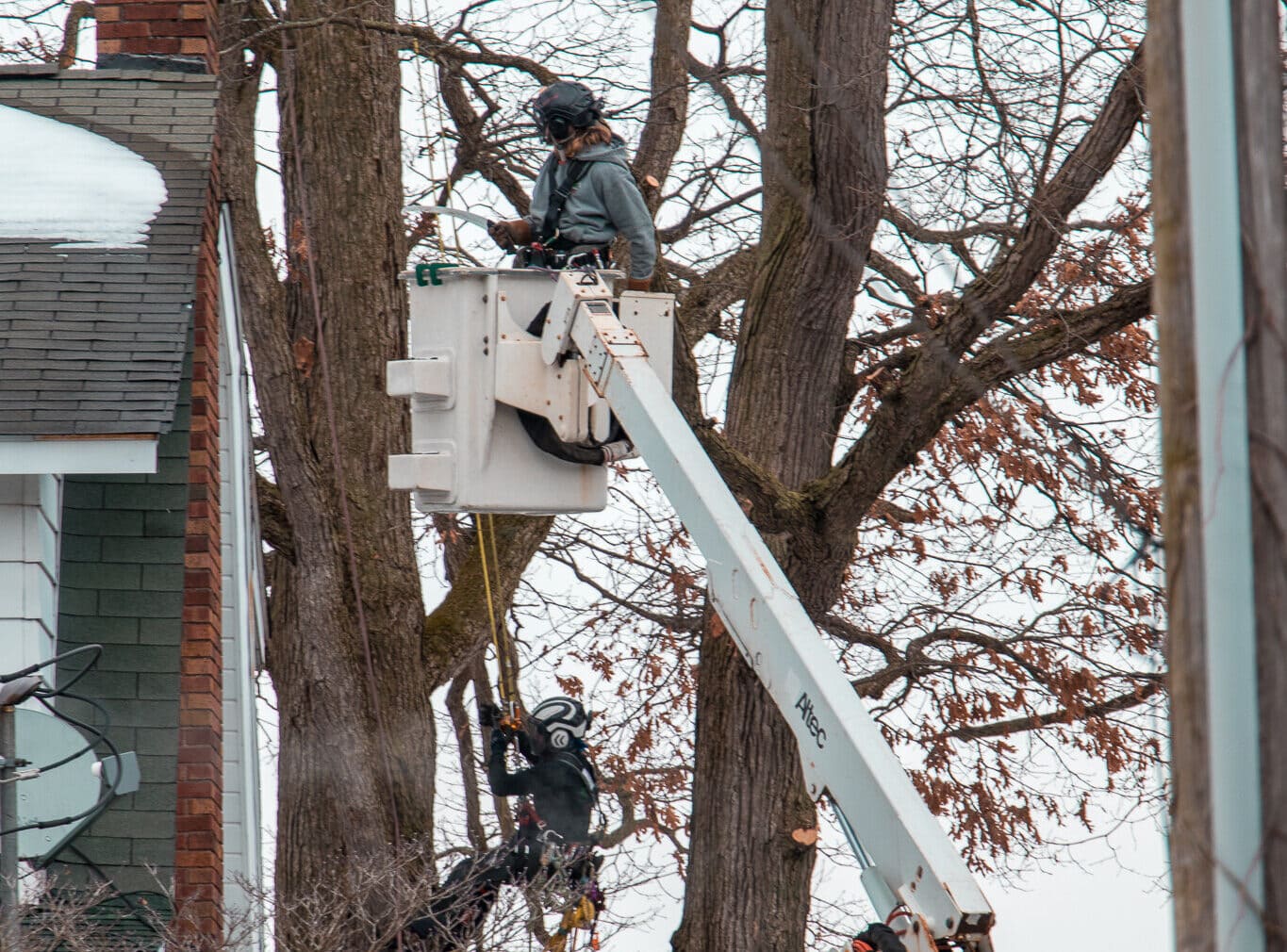 @fname@ in Emergency Tree Service<br />
